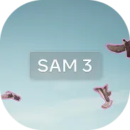 SAM 3 tile
